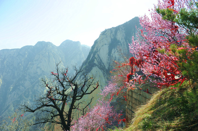 三月女神节华山春游约起来