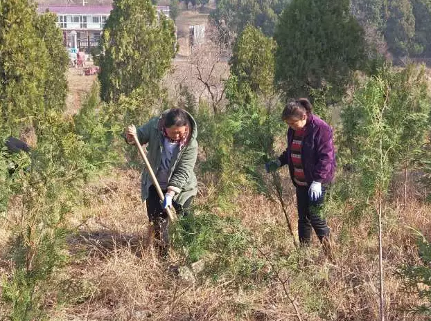 栏杆镇老海寺林场开展了以"绿水青山就是金山银山"为主题义务植树疃