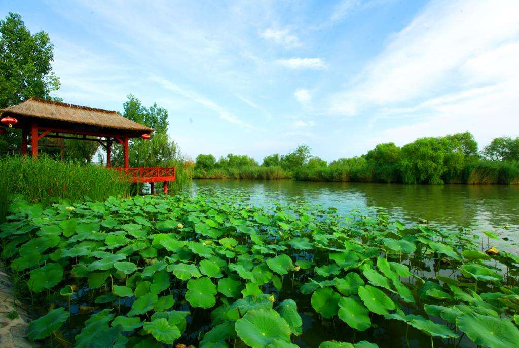 合阳黄河湾景区图片