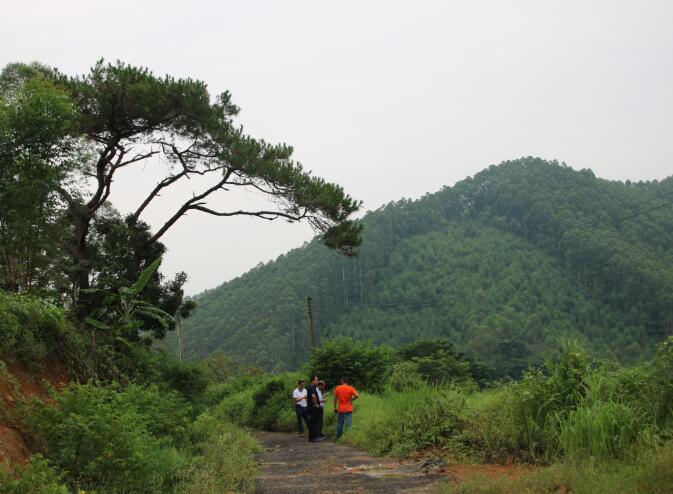 广东佛山高明更合镇石岩底村最具有开发旅游前景