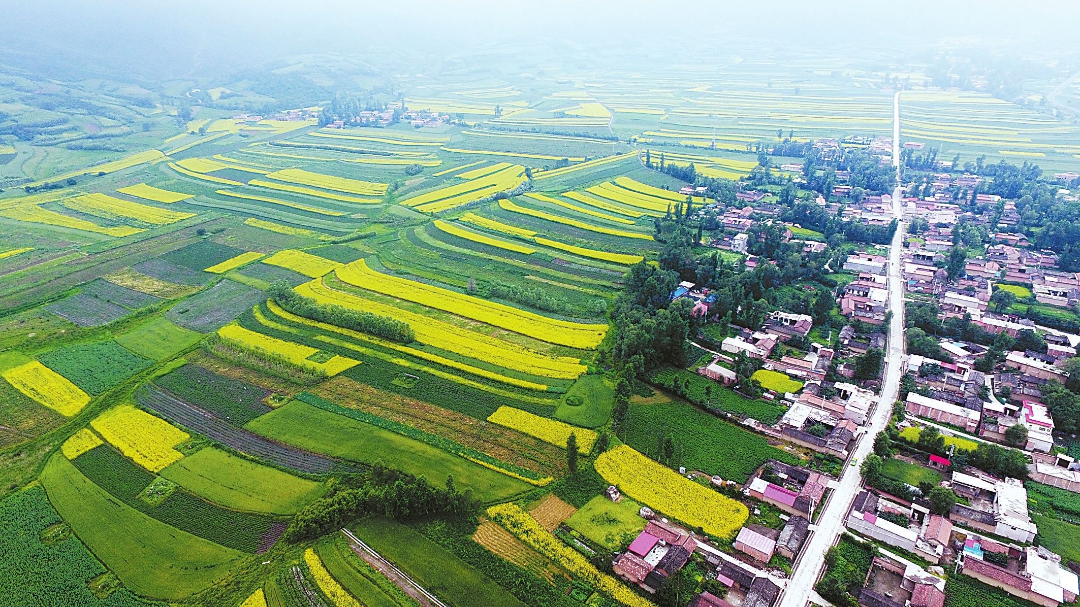 盛夏时节,和政县松鸣镇狼土泉村风景如画.