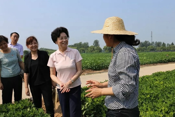 宋秀岩在河南调研时指出:在服务妇女中体现政治引领