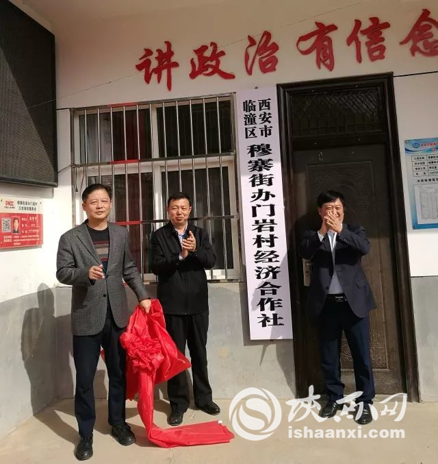 攻坚路上党支部临潼区门岩村党建助力村出列户脱贫