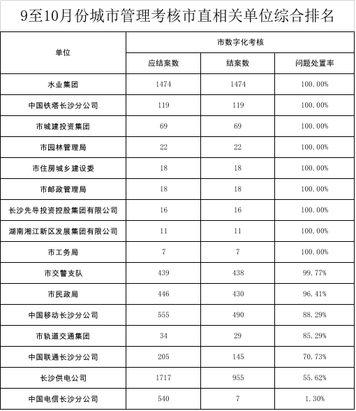 城管排名_城管等级排名臂章图片(2)