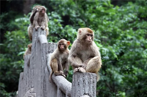 五一小长假 云台山已经替你安排妥了 立刻加入狂欢派对