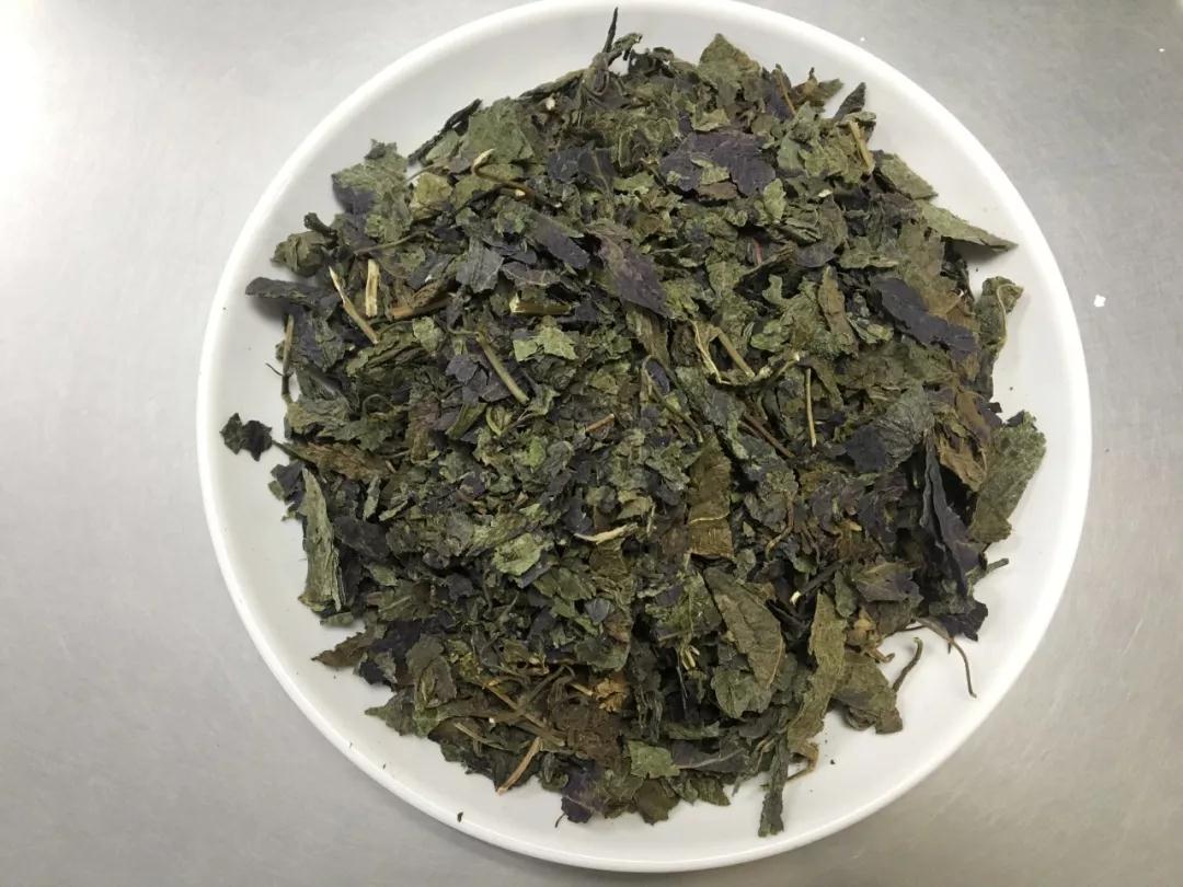 西安市中医医院专家告诉你关于紫苏叶的传说