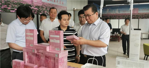 亳州市长杜延安调研安徽花吟姿公司鼓励王品武创新发展芍药花产业