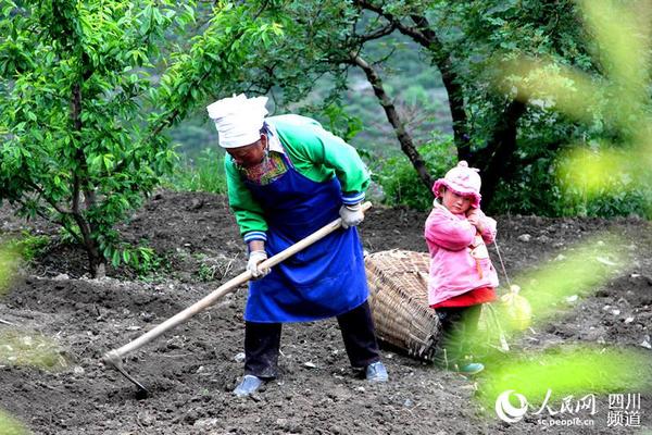 一位头戴白布帕的羌族妇女在地里干活(刘浏 摄)