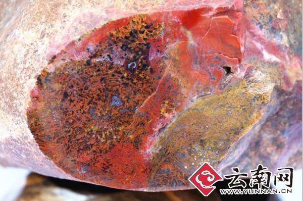 云南新玉种 石林彩玉集中亮相石博会