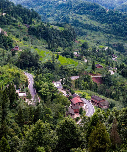 寻找重庆"最美乡村公路" 快来华龙网官方微信投票