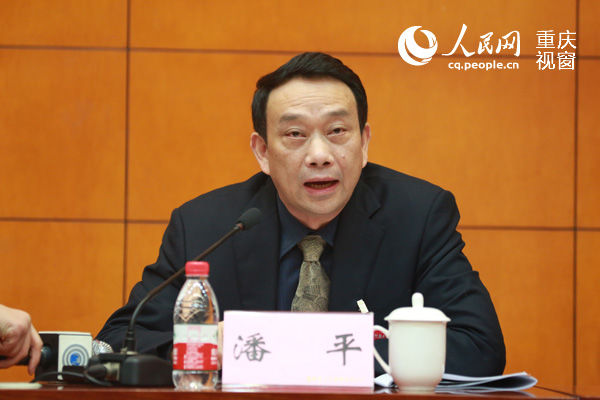 重庆九龙坡区人大原党组书记,主任潘平被查