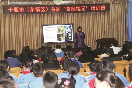 生态文明建设和人口普查_生态文明建设图片