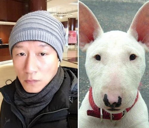 比宠物还萌明星撞脸动物的瞬间