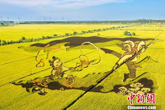 "中国稻田画之乡"沈阳沈北新区全球征集稻田画
