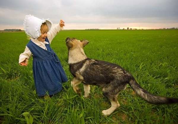 如何给狗狗起名字好听不撞名 ae776a9e-016b-43ff-b6b9-1ac2b8e15ae5_size33_w600_h420.jpg