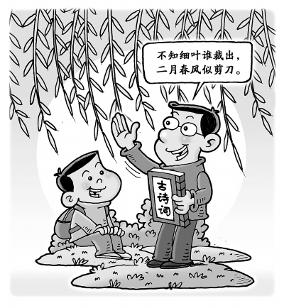 诗词大会之我见