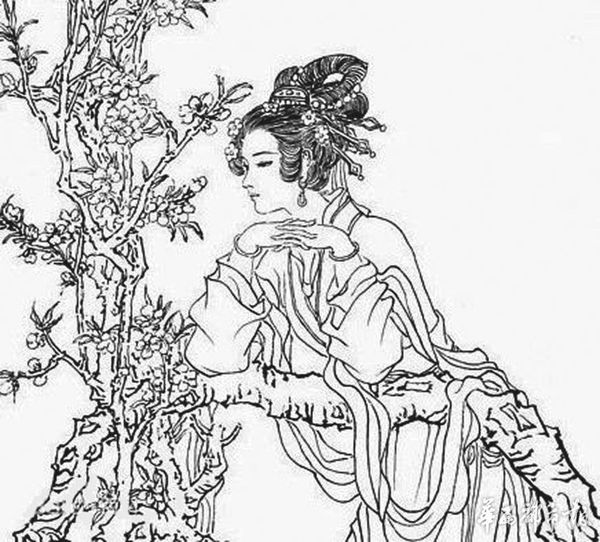 蜀是什么姓氏 1445f3ec-56b1-4b55-ba65-d6ebee677317_size78_w600_h542.jpg
