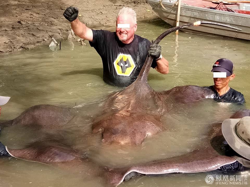 英国游客假冒学者 游泰非法捕捞魔鬼鱼