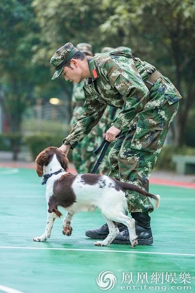 奇兵神犬杨烁照看幼犬状况百出张馨予传授秘笈