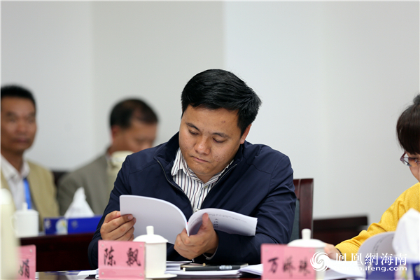 陵水代表团代表:凝心聚力 履职尽责 全力开好大会
