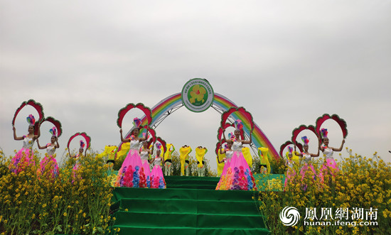 常德十美堂油菜花图片