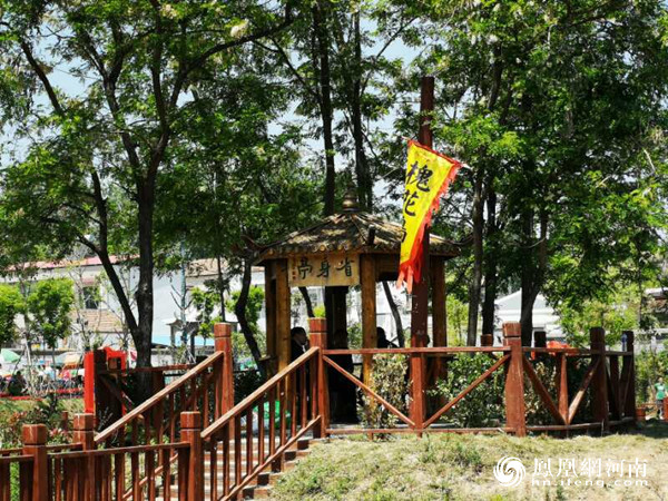 民权县花园乡赵洪坡村赏花海观民俗民俗文化游惹人醉