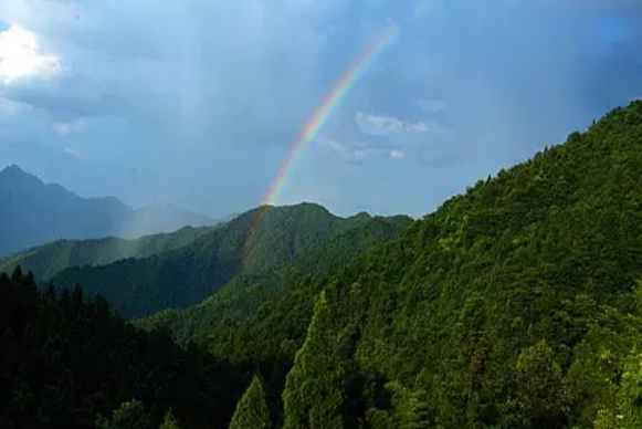 井冈山在哪个县 1abb385cac8cb6e_w581_h388.png