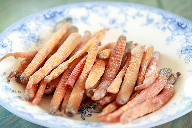 光村沙虫肥美嫩滑