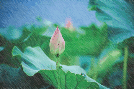 454_303gif 动态图 动图