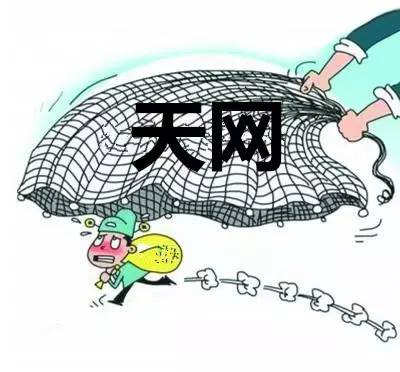 制定防逃之策,将"天网"织牢"未雨绸缪"胜过"亡羊补牢".