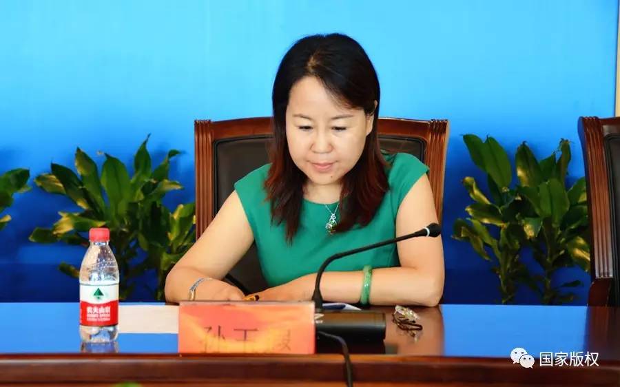 国家版权局等四部委启动剑网2017专项行动