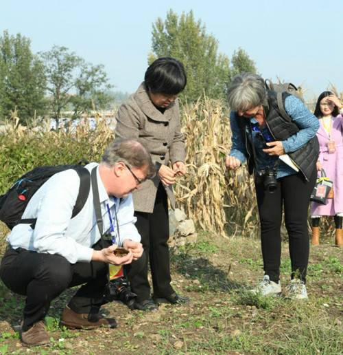 构造全域旅游格局中国古陶瓷学会2017年年会暨鲁山窑学术研讨会在