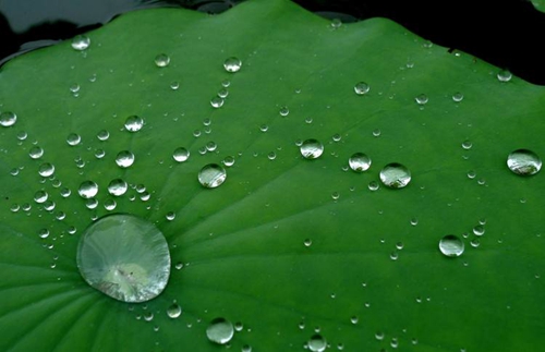 卡本硅烷浸渍涂料防护混凝土效果荷叶效应