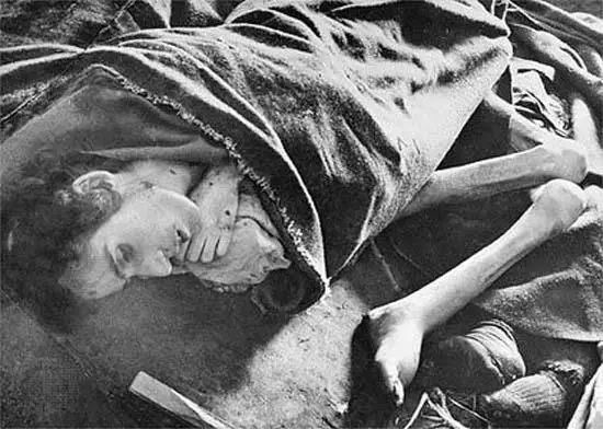奥斯维辛集中营焚尸图片