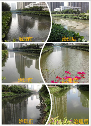 以黑治黑黑科技石墨烯光催化网治理黑臭水体