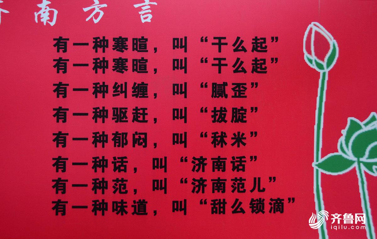 这里有个济南话"百科"牌!外地人快来get一下