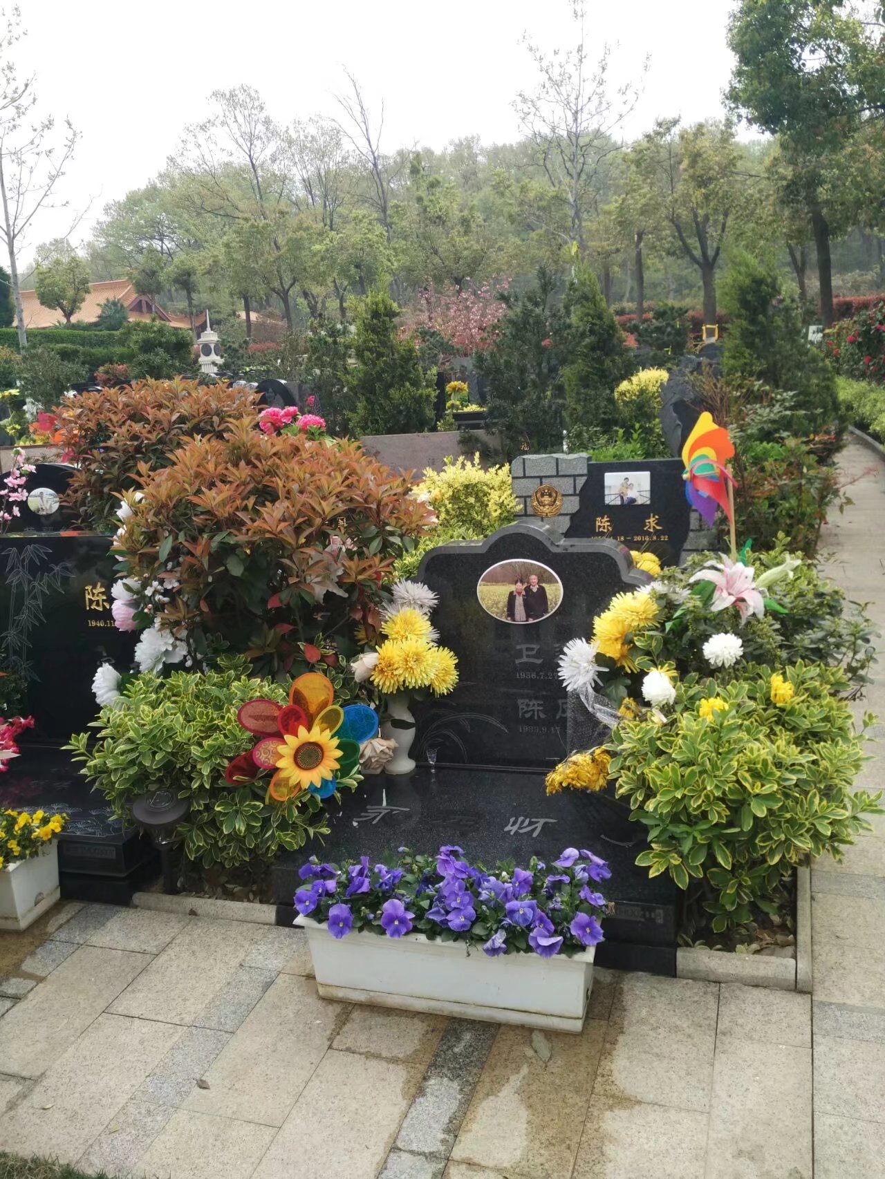 合肥大蜀山迎来扫墓高峰 文明祭扫成风尚(图)