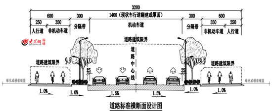 道路标准横断面设计图