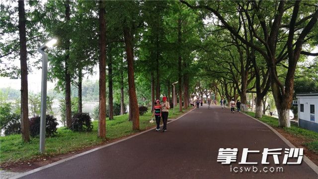 人均绿地面积_全球绿地面积变化(2)