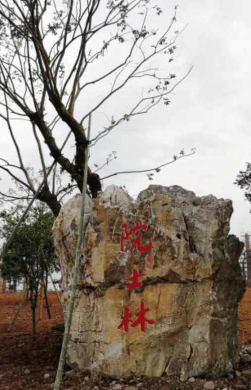 探营森山健康小镇中国铁皮石斛地理公园下周三开园