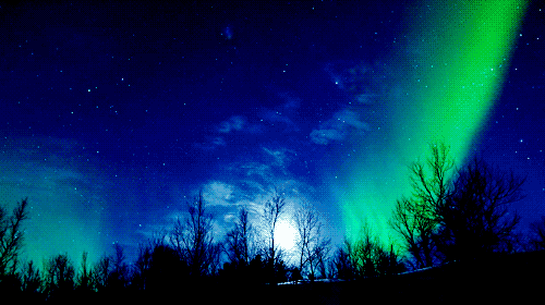 8a001609378ad22_w500_h280.png