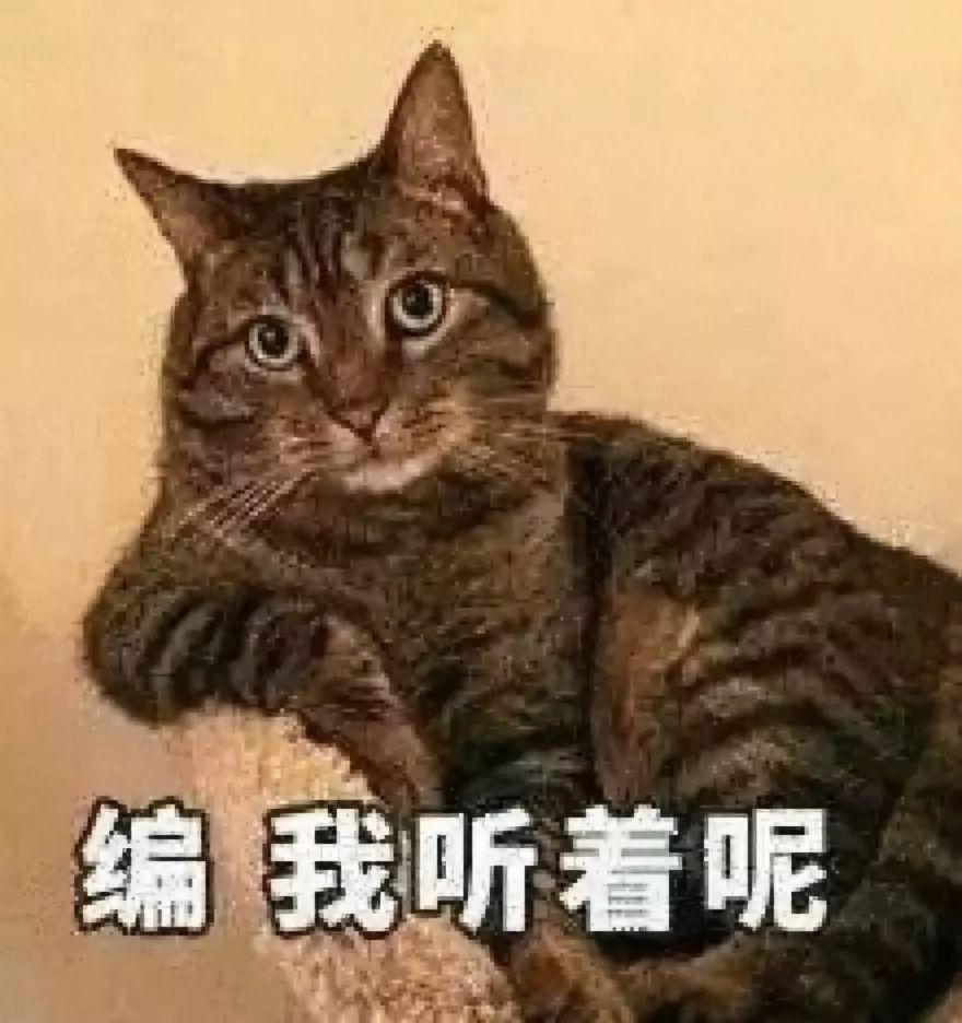 深夜一个女人的咆哮刷爆朋友圈