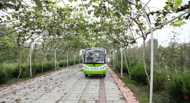 种植加工 休闲旅游 泰安曼华庄园打造新型产业发展框架