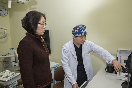 静安区副区长一行莅临易美齿科考察调研