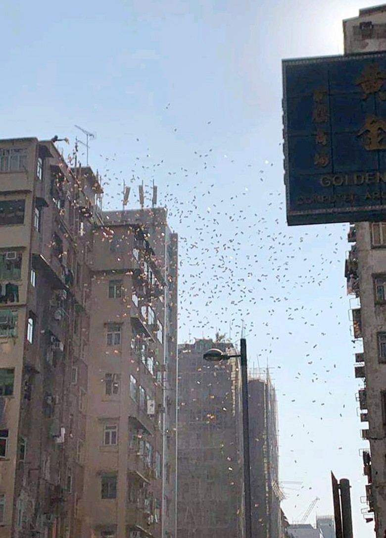 天台人口流动管理所电话_打电话图片