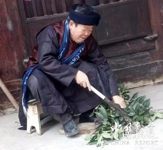 (张老带徒弟进山识药采药)在那个年代,120元算是"巨资"了,等同于一些