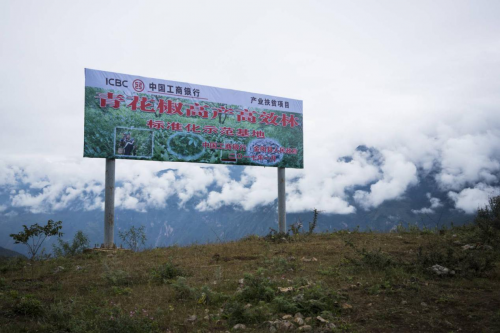 金阳县多少人口_凉山州金阳县图片