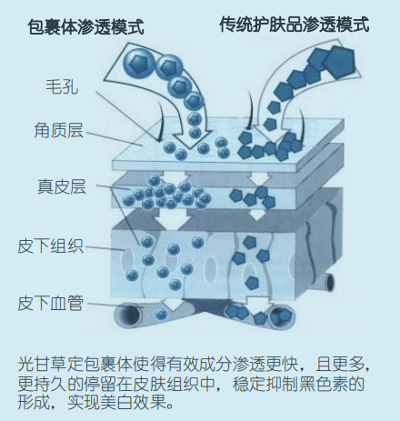 人口增多导致的问题的画画_人口过多导致住房问题(3)