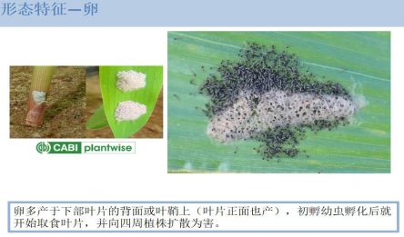 b2c2c874bb43af2_w444_h261.jpg