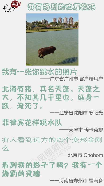 984e8a78e545820f5d6f_size64_w440_h789.jpg